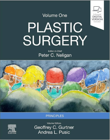 Review of 'Plastic Surgery