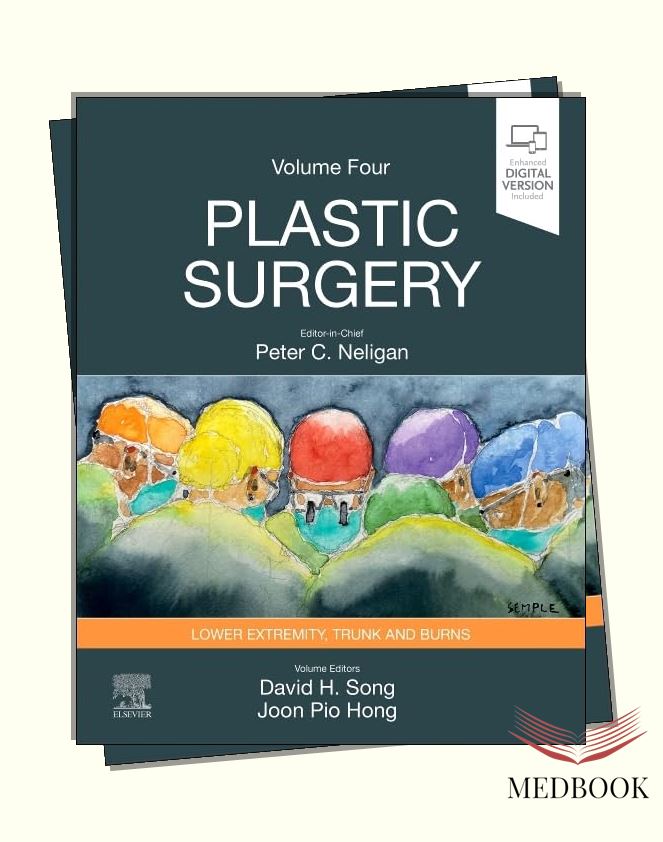 Plastic Surgery Volume 4