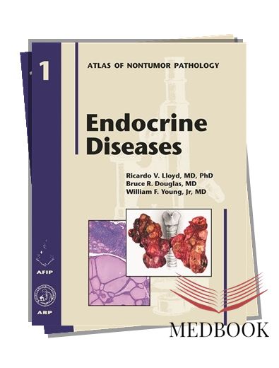 Endocrine Diseases: Understanding Pituitary Gland Disorders, Anatomy, and Function